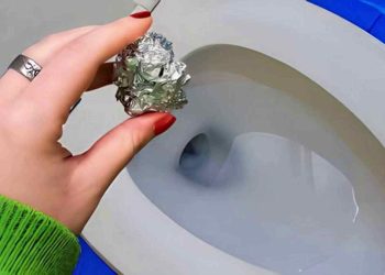 L’Astuce du Papier d’Aluminium dans les Toilettes