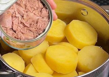 Galettes de Pommes de Terre Farcies au Thon