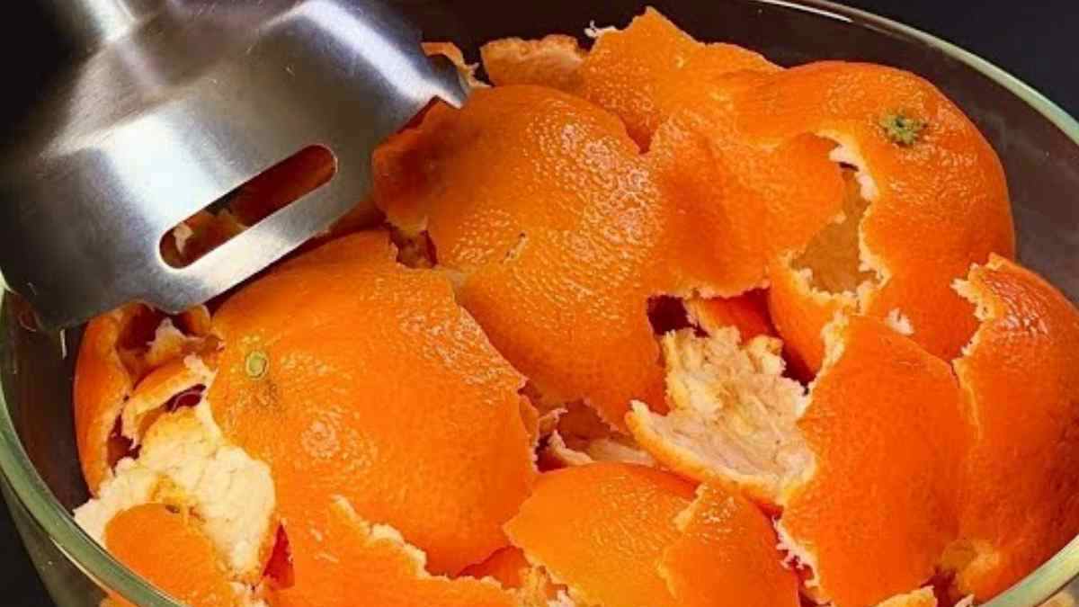 Ne Jetez Plus Vos Écorces d'Orange