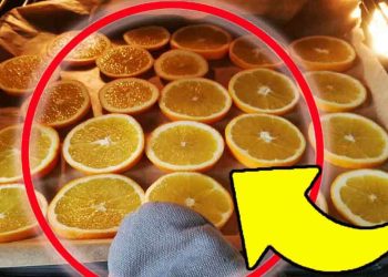 Tranches d’Oranges Séchées au Four