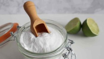 Le bicarbonate de soude au jardin