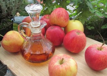 vinaigre de cidre de pomme