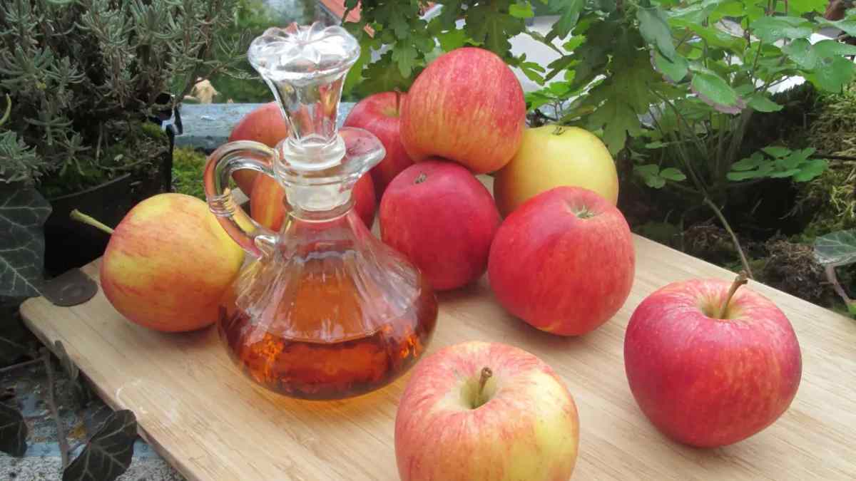 vinaigre de cidre de pomme