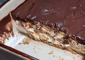 Dessert glacé au yaourt allégé et crème cacao